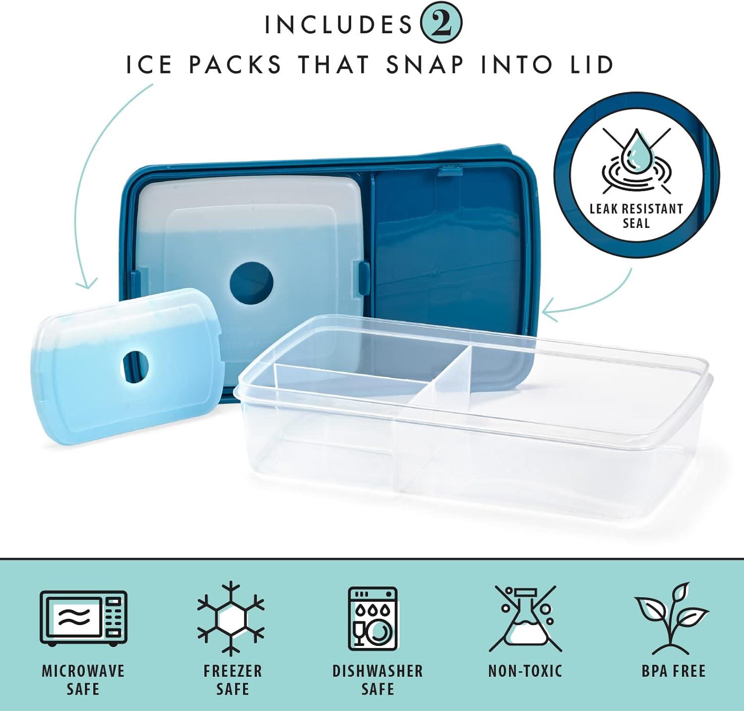 imageFit ampamp Fresh Bento Box Adult and Kids Lunch Box Container Includes 2 Slim Clipin Ice Packs Reusable LeakResistant ampamp Stackable Lunch Container for AdultsBento Lunch Box  Navy