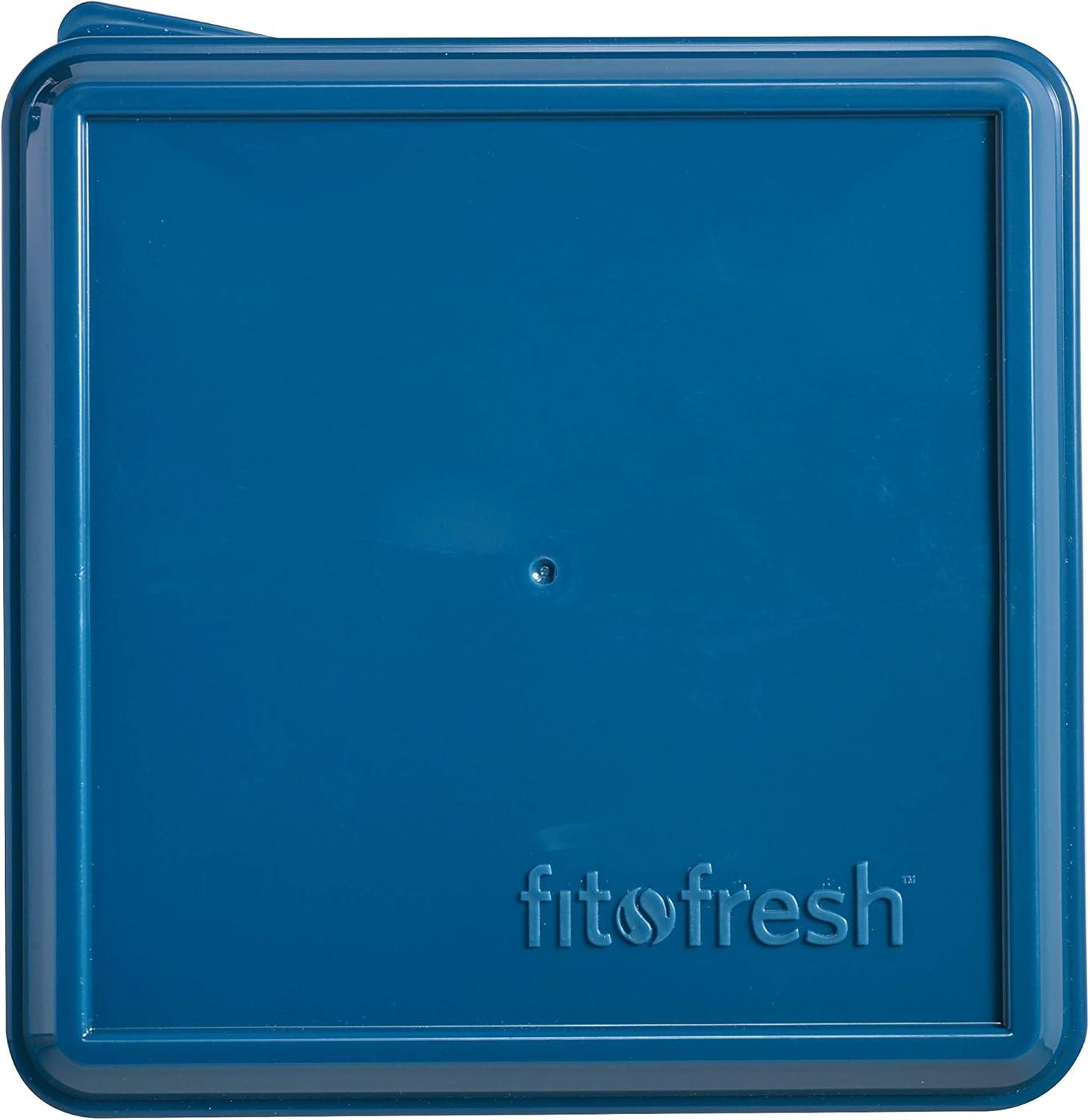 imageFit ampamp Fresh Kids SpillProof Meal Container 14 ounce capacity Colors may varyDivided Lunch Pack Carrier w Ice Pack