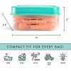 imageFit ampamp Fresh 12Cup Snack Set Condiment ampamp Salad Dressing Containers Reusable ampamp Leakproof Lunch Containers Perfect for Insulated Lunch Bag Lunch Box ampamp More 5PK Multicolor12 Cup