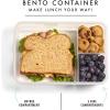 imageFit ampamp Fresh Bento Box Adult and Kids Lunch Box Container Includes 2 Slim Clipin Ice Packs Reusable LeakResistant ampamp Stackable Lunch Container for AdultsBento Lunch Box  Navy