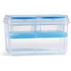 imageFit ampamp Fresh Pink Salad Container For Lunch 4 Cup Adult Salad Lunch Box With Compartments ampamp Ice PackEntree Set  Blue