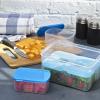 imageFit ampamp Fresh Pink Salad Container For Lunch 4 Cup Adult Salad Lunch Box With Compartments ampamp Ice PackEntree Set  Blue