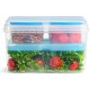 imageFit ampamp Fresh Pink Salad Container For Lunch 4 Cup Adult Salad Lunch Box With Compartments ampamp Ice PackEntree Set  Blue