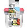 imageFit ampamp Fresh Pink Salad Container For Lunch 4 Cup Adult Salad Lunch Box With Compartments ampamp Ice PackDeluxe Salad Set  Pink