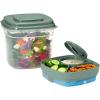 imageRachael Ray Soup ampamp Sandwich Container For Lunch Hot Soup Lunch Container For Adults Reusable Soup Bowl With Container For Sandwich or Toppings Includes Removable Ice Pack Hot or Cold Food StorageDeluxe Salad Set  Green