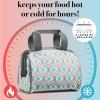 imageFit ampamp Fresh Charlotte Adult Insulated Lunch Bag with Carry Handles Graphic CheetahGray