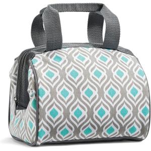 imageFit ampamp Fresh Charlotte Adult Insulated Lunch Bag with Carry Handles Graphic CheetahGray